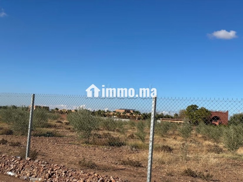 Terrain à avendre zone. Sd1. . Surface de 10000 m² - Vente Immobilier - Marrakech - photo 6