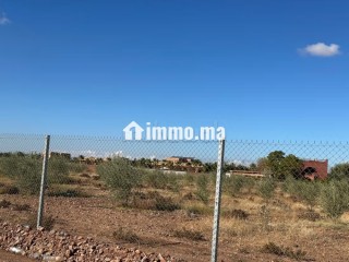Terrain à avendre zone. Sd1. . Surface de 10000 m² - Terrain à vendre - Marrakech