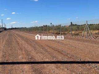 Terrain à avendre zone. Sd1. . Surface de 10000 m² - Terrain à vendre - Marrakech