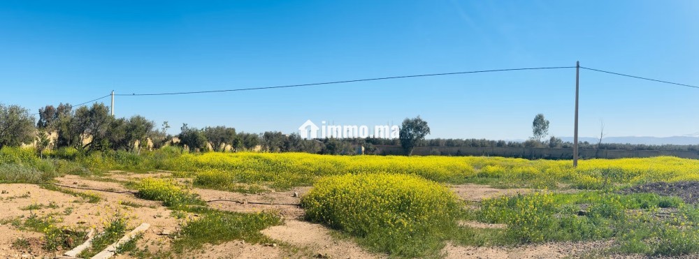 Terrain de 10000m2 a vendre, Vue Atlas - Vente Immobilier - Marrakech - photo 2
