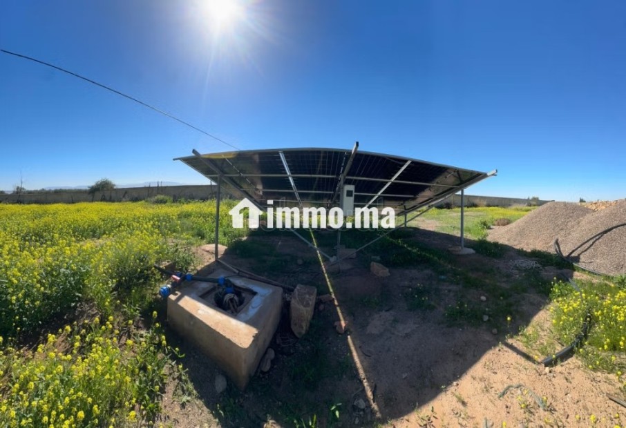 Terrain de 10000m2 a vendre, Vue Atlas - Vente Immobilier - Marrakech - photo 4
