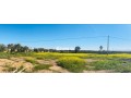 Terrain de 10000m2 a vendre, Vue Atlas - miniature 2