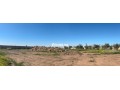 Terrain de 10000m2 a vendre, Vue Atlas - miniature 6