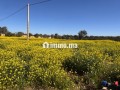 Terrain de 10000m2 a vendre, Vue Atlas - miniature 8