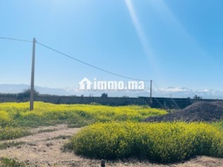 Terrain de 10000m2 a vendre, Vue Atlas - Terrain à vendre - Marrakech