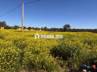 Terrain de 10000m2 a vendre, Vue Atlas - Terrain à vendre - Marrakech