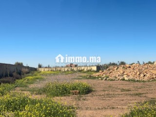 Terrain de 10000m2 a vendre, Vue Atlas - Terrain à vendre - Marrakech
