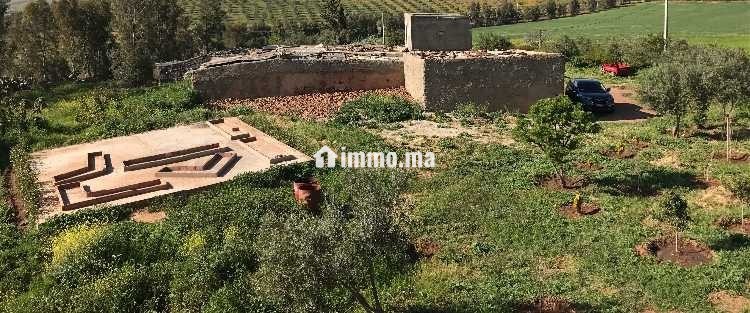 Occasion exceptionnelle Ferme - Vente Immobilier - Khouribga - photo 5