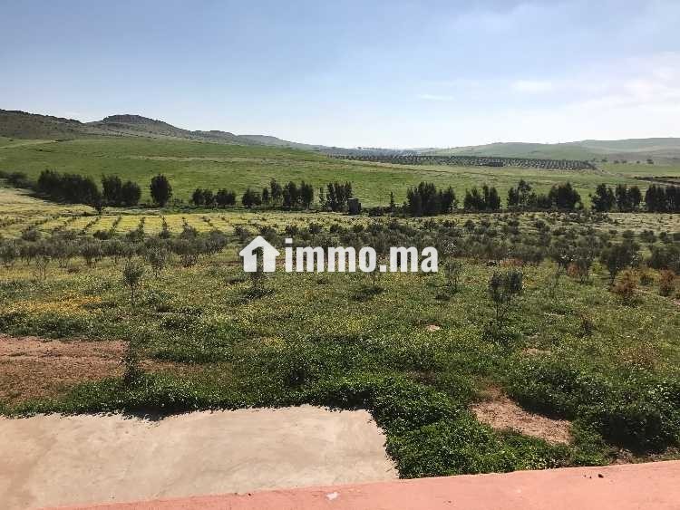 Occasion exceptionnelle Ferme - Vente Immobilier - Khouribga - photo 7