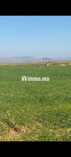 Terrainsidi zouine - Vente Immobilier - Fes - photo 1