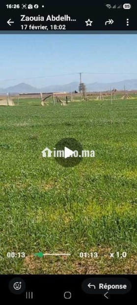 Terrainsidi zouine - Vente Immobilier - Fes - photo 4