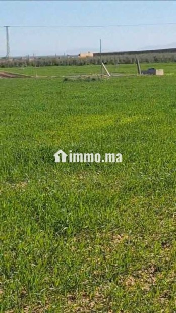Terrainsidi zouine - Vente Immobilier - Fes - photo 5