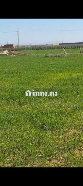 Terrainsidi zouine - Vente Immobilier - Fes - photo 6