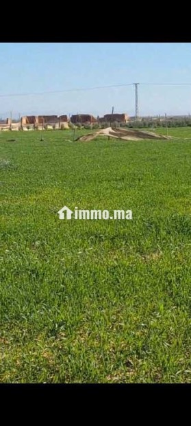 Terrainsidi zouine - Vente Immobilier - Fes - photo 7