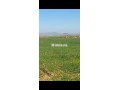 Terrainsidi zouine - miniature 1