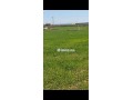 Terrainsidi zouine - miniature 6