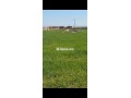 Terrainsidi zouine - miniature 7