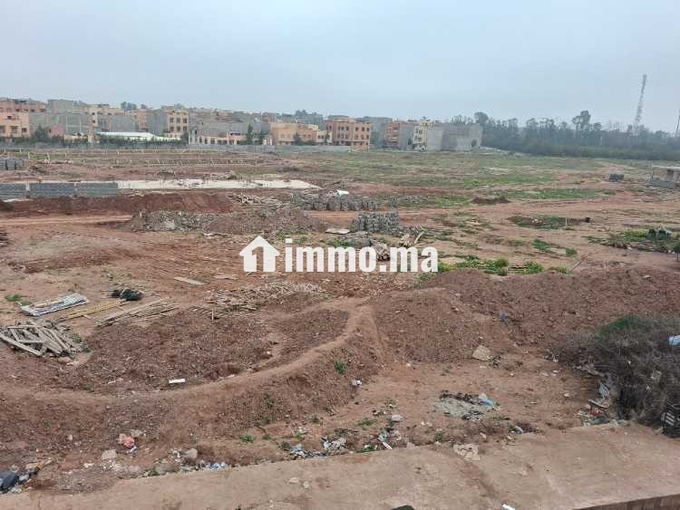 6 hectares titrés - Vente Immobilier - Marrakech - photo 1