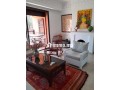 Appartement location - miniature 6