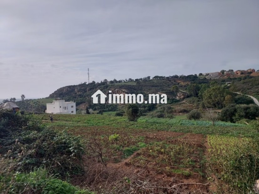 Terrain titré 4000 m2 Zone Villa à Cape Spartel - Vente Immobilier - Tanger - photo 2