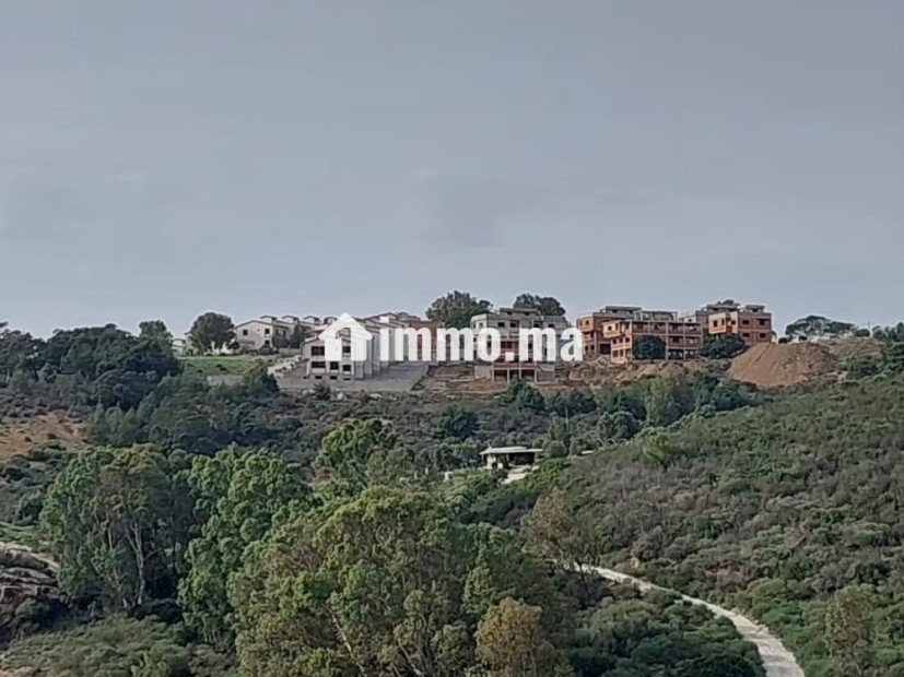 Terrain titré 4000 m2 Zone Villa à Cape Spartel - Vente Immobilier - Tanger - photo 3