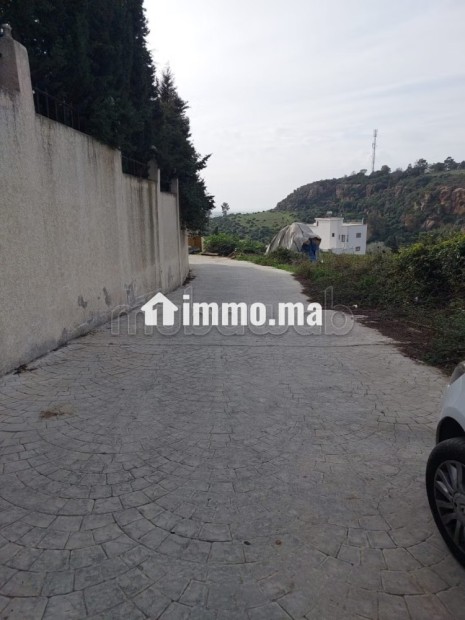 Terrain titré 4000 m2 Zone Villa à Cape Spartel - Vente Immobilier - Tanger - photo 4