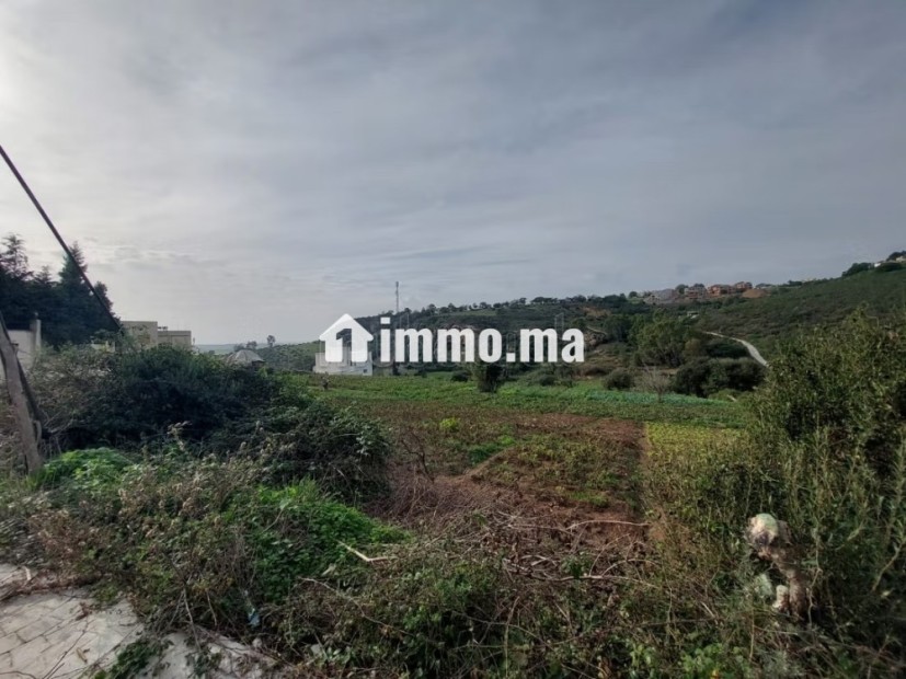 Terrain titré 4000 m2 Zone Villa à Cape Spartel - Vente Immobilier - Tanger - photo 5