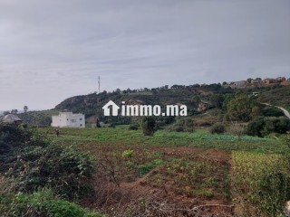 Terrain titré 4000 m2 Zone Villa à Cape Spartel - Villa à vendre - Tanger