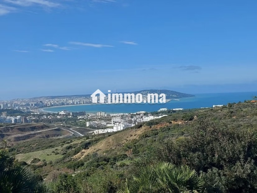 Vente Terrain Zone Villa 4000 m2 à Nouinouiche - Vente Immobilier - Tanger - photo 2