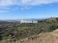 Vente Terrain Zone Villa 4000 m2 à Nouinouiche - miniature 4