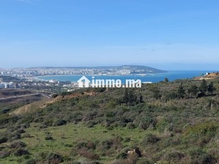 Vente Terrain Zone Villa 4000 m2 à Nouinouiche - Villa à vendre - Tanger