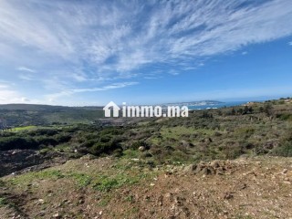 Vente Terrain Zone Villa 4000 m2 à Nouinouiche - Villa à vendre - Tanger