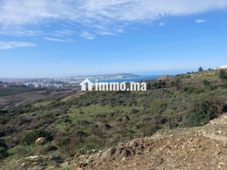 Vente Terrain Zone Villa 4000 m2 à Nouinouiche - Villa à vendre - Tanger