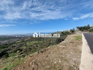Vente Terrain Zone Villa 4000 m2 à Nouinouiche - Villa à vendre - Tanger