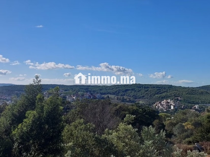 Villa semi finie dans un cadre exclusif à Jbel Kbir - Vente Immobilier - Tanger - photo 5