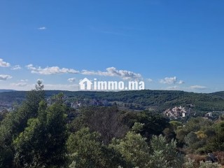 Villa semi finie dans un cadre exclusif à Jbel Kbir - Villa à vendre - Tanger