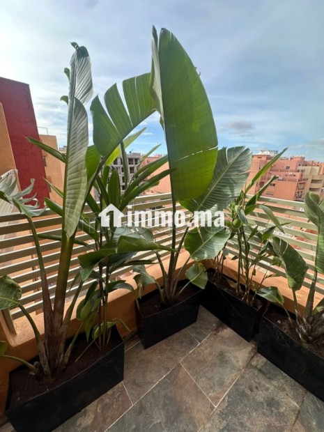 LOCATION Appartement 2 chambres GUÉLIZ - Location Immobilier - Marrakech - photo 5