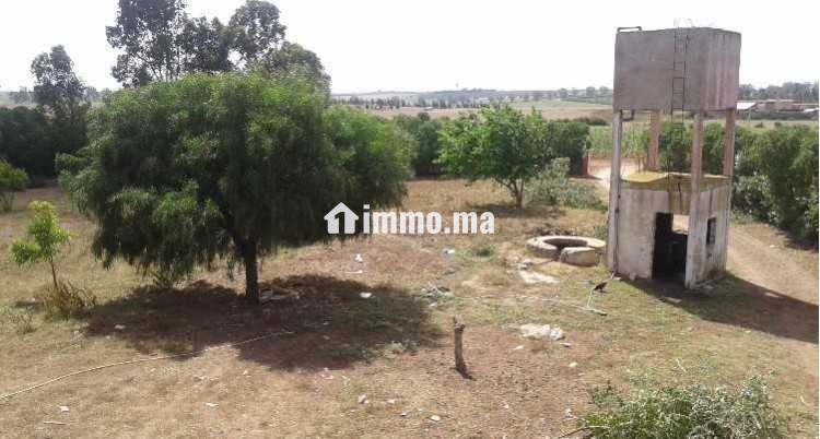 Terrain agricole a azemmour - Vente Immobilier - Rabat - photo 1