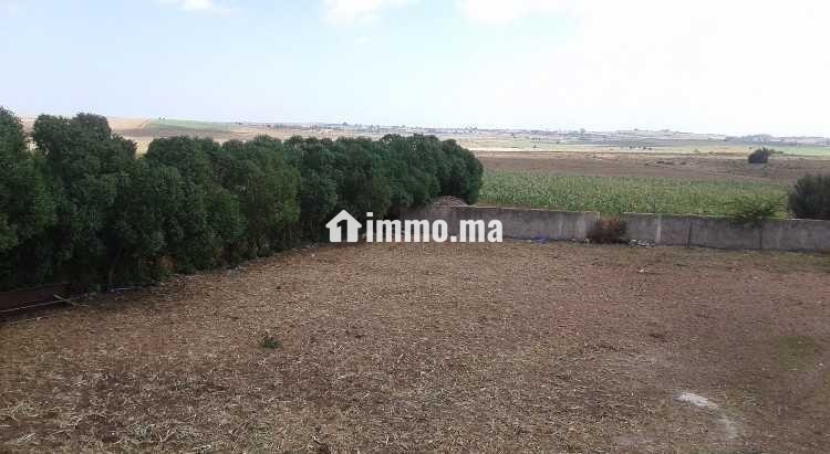 Terrain agricole a azemmour - Vente Immobilier - Rabat - photo 3
