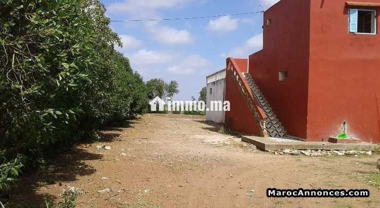 Terrain agricole a azemmour - Vente Immobilier - Rabat - photo 4