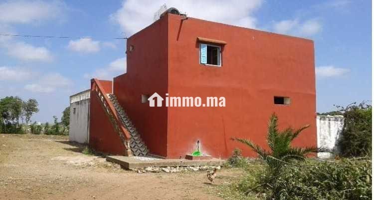Terrain agricole a azemmour - Vente Immobilier - Rabat - photo 5