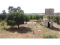 Terrain agricole a azemmour - miniature 1