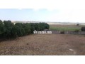 Terrain agricole a azemmour - miniature 3