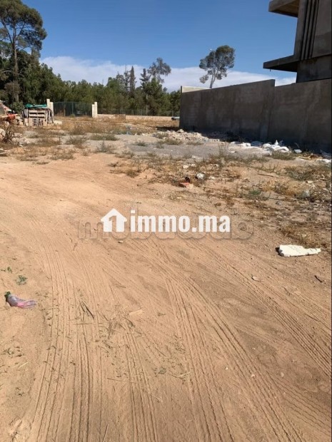 Lotissement california - Vente Immobilier - Fes - photo 4