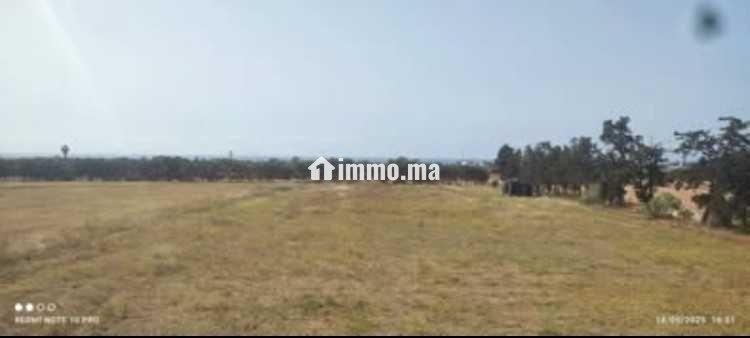 Terrain agricole a vendre - Vente Immobilier - Bouznika - photo 3