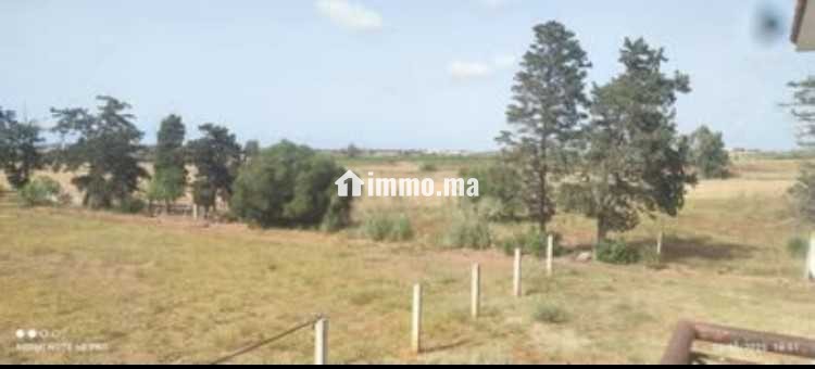 Terrain agricole a vendre - Vente Immobilier - Bouznika - photo 4