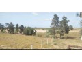 Terrain agricole a vendre - miniature 4