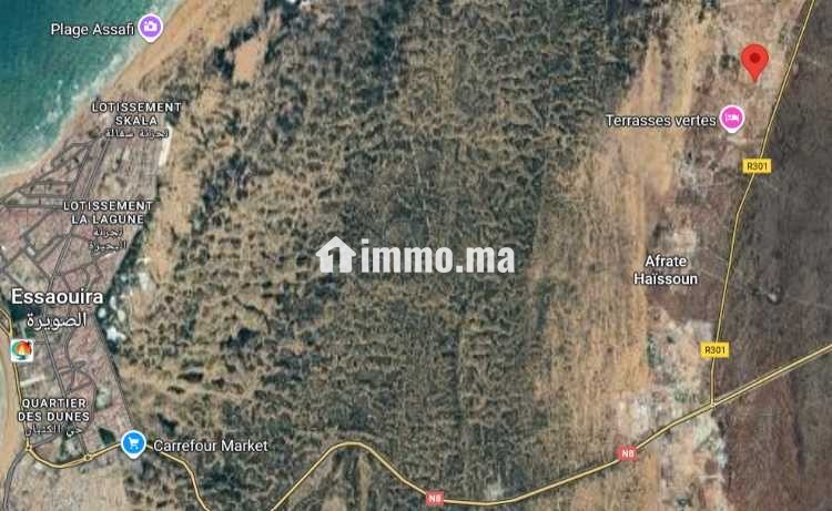 Terrain titré à vendre – 2 700 m² à Essaouira - Vente Immobilier - Essaouira - photo 3
