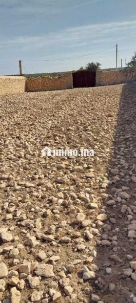 Terrain titré à vendre – 2 700 m² à Essaouira - Vente Immobilier - Essaouira - photo 4