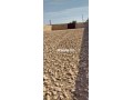 Terrain titré à vendre – 2 700 m² à Essaouira - miniature 4